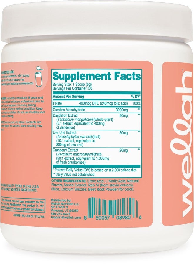 Wellah Creatine for Women - Creatine Monohydrate with Dandelion & Cranberry Extract (50 Servings, Watermelon Slush) - Image 4